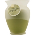 AVOCADO & VANILLA MINT ESSENTIAL BLEND