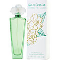 GARDENIA ELIZABETH TAYLOR