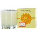 Orange Ginger - Limited Edition