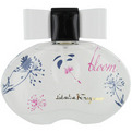 Incanto Bloom