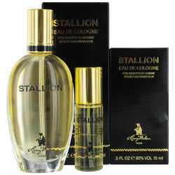 Stallion Stallion
