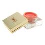 YVES SAINT LAURENT Makeup av Yves Saint Laurent #212808