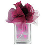VERA WANG LOVESTRUCK by Vera Wang #224880
