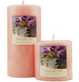 APRICOT FREESIA  ESSENTIAL BLEND Candles esittäjä(t): APRICOT FREESIA ESSENTIAL BLEND