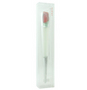 PUPA ROSE Perfume by Pupa