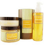 SENSORY FUSION MANGO GINGER Aromatherapy by Aromafloria